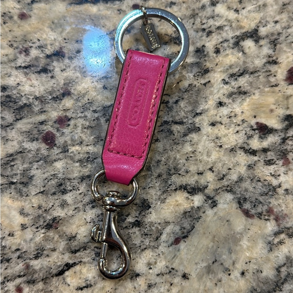 Raspberry Coach Keyholder